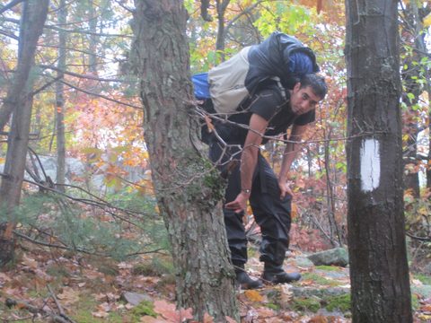 Photo from Backpacking, Ganaraska Trail, Queen Elizabeth Wildlands
