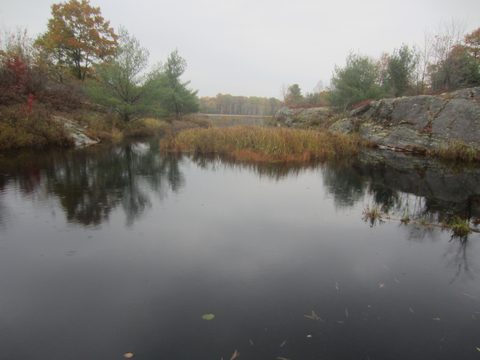 Photo from Backpacking, Ganaraska Trail, Queen Elizabeth Wildlands