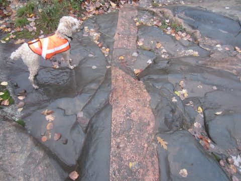Photo from Backpacking, Ganaraska Trail, Queen Elizabeth Wildlands