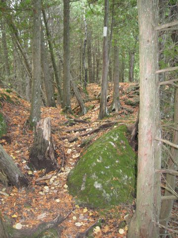 Photo from Backpacking, McKay's Harbour, Bruce Trail