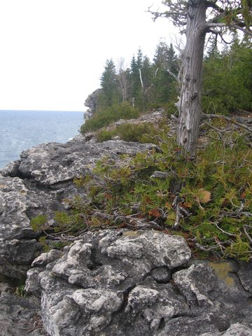 Photo from Backpacking, McKay's Harbour, Bruce Trail