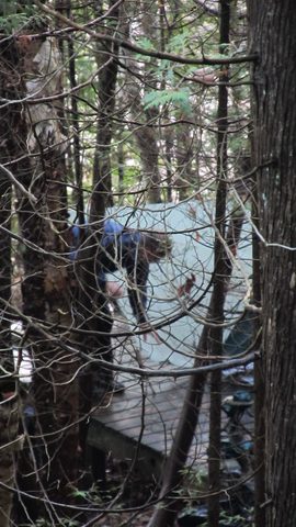 Photo from Backpacking, Bruce Peninsula National Park