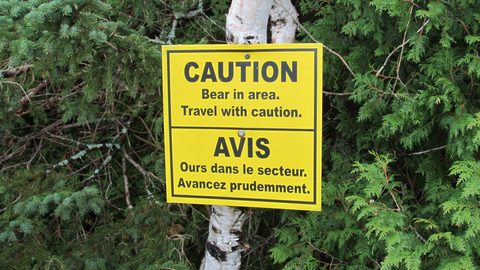 Photo from Backpacking, Bruce Peninsula National Park