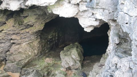 Photo from Backpacking, Bruce Peninsula National Park