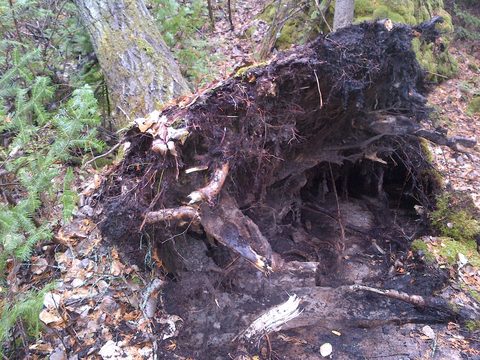 Photo from Backpacking, Bruce Peninsula National Park