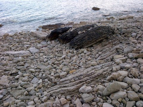 Photo from Backpacking, Bruce Peninsula National Park