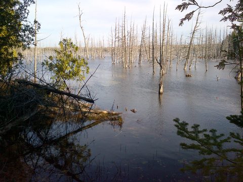 Photo from Backpacking, Bruce Peninsula National Park