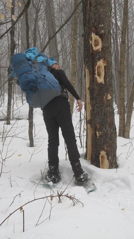 Photo from Snowshoe camping, Maggie Lake, Algonquin