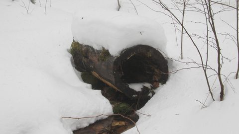 Photo from Snowshoe camping, Maggie Lake, Algonquin