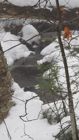 Photo from Snowshoe camping, Maggie Lake, Algonquin