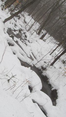 Photo from Snowshoe camping, Maggie Lake, Algonquin