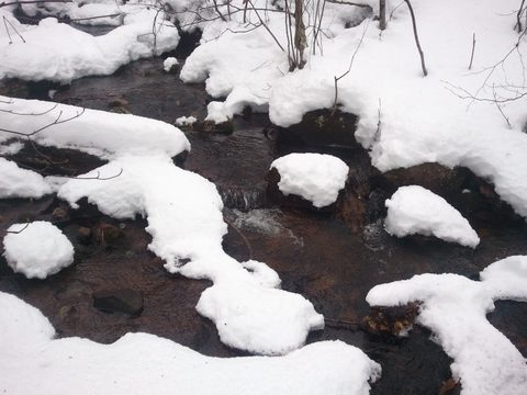 Photo from Snowshoe camping, Maggie Lake, Algonquin