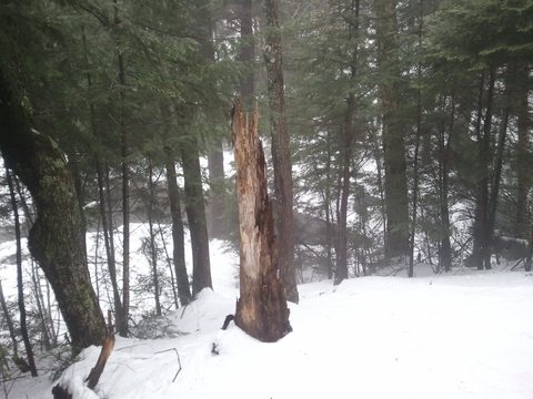 Photo from Snowshoe camping, Maggie Lake, Algonquin