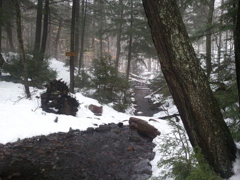 Photo from Snowshoe camping, Maggie Lake, Algonquin