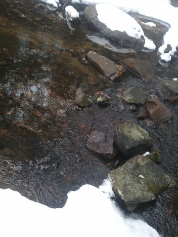 Photo from Snowshoe camping, Maggie Lake, Algonquin