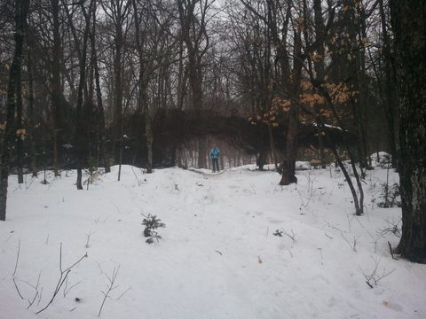 Photo from Snowshoe camping, Maggie Lake, Algonquin
