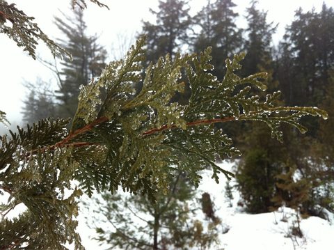 Photo from Snowshoe camping, Maggie Lake, Algonquin