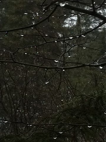 Photo from Snowshoe camping, Maggie Lake, Algonquin