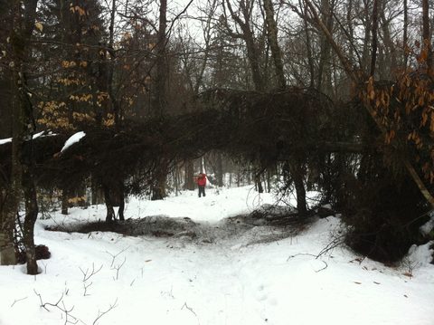 Photo from Snowshoe camping, Maggie Lake, Algonquin