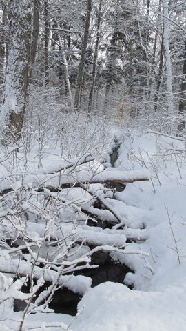 Photo from Ski camping, Minnesing Wilderness Trail, Algonquin