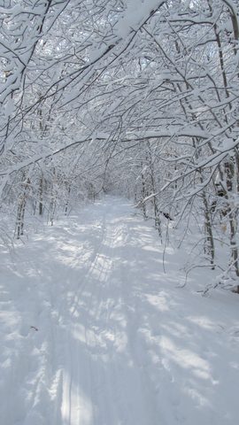 Photo from Ski camping, Minnesing Wilderness Trail, Algonquin