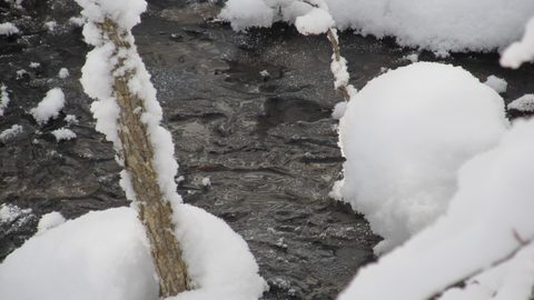 Photo from Ski camping, Minnesing Wilderness Trail, Algonquin