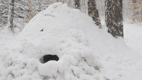 Photo from Ski camping, Minnesing Wilderness Trail, Algonquin