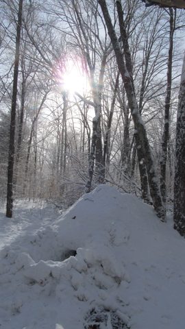 Photo from Ski camping, Minnesing Wilderness Trail, Algonquin