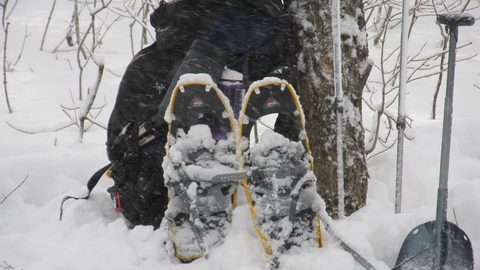 Photo from Ski camping, Minnesing Wilderness Trail, Algonquin