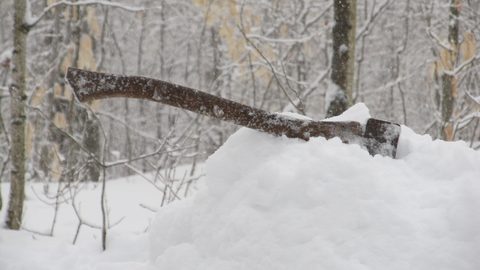 Photo from Ski camping, Minnesing Wilderness Trail, Algonquin