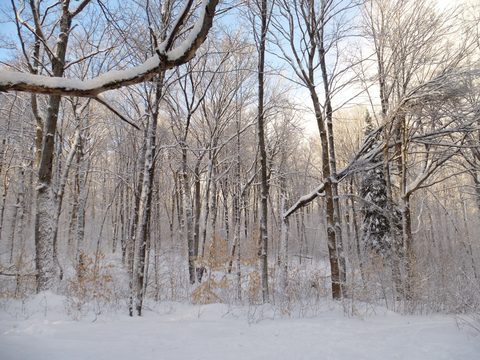 Photo from Ski camping, Minnesing Wilderness Trail, Algonquin