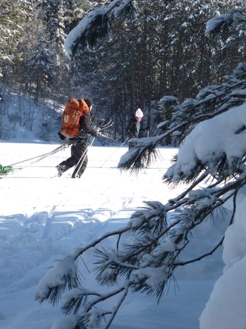 Photo from Ski camping, Minnesing Wilderness Trail, Algonquin