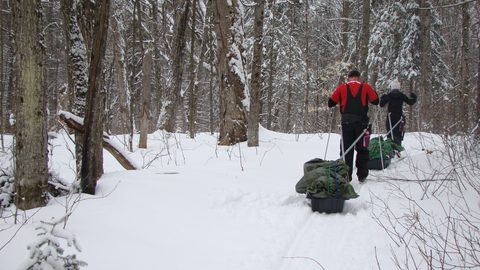 Photo from Ski camping, Minnesing Wilderness Trail, Algonquin