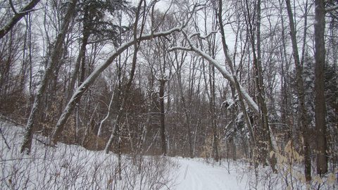 Photo from Ski camping, Minnesing Wilderness Trail, Algonquin