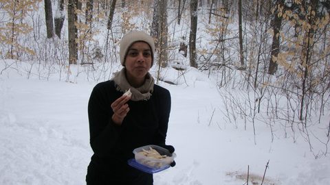 Photo from Ski camping, Minnesing Wilderness Trail, Algonquin