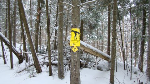 Photo from Ski camping, Minnesing Wilderness Trail, Algonquin