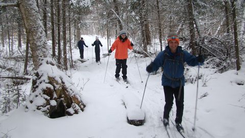 Photo from Ski camping, Minnesing Wilderness Trail, Algonquin