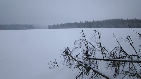 Photo from Ski camping, Minnesing Wilderness Trail, Algonquin