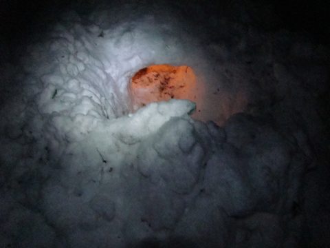 Photo from Ski camping, Minnesing Wilderness Trail, Algonquin