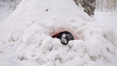 Photo from Ski camping, Minnesing Wilderness Trail, Algonquin