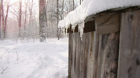 Photo from Ski camping, Minnesing Wilderness Trail, Algonquin