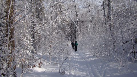 Photo from Ski camping, Minnesing Wilderness Trail, Algonquin