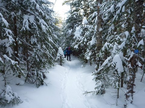 Photo from Backpacking, Mt. Marcy summit, Lake Placid, NY