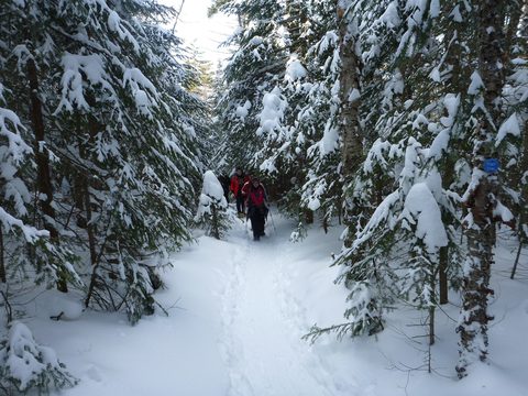 Photo from Backpacking, Mt. Marcy summit, Lake Placid, NY