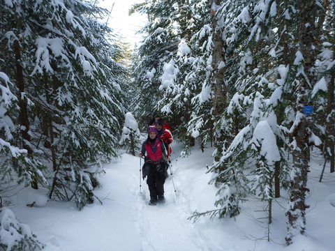 Photo from Backpacking, Mt. Marcy summit, Lake Placid, NY