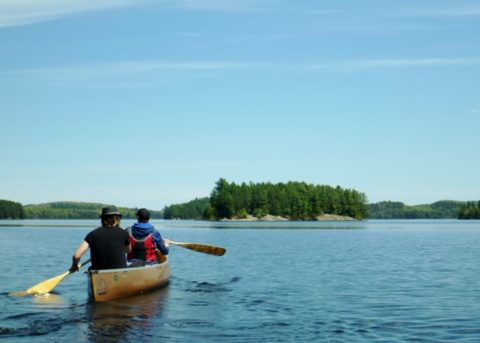 Photo from Canoeing, North Tea Lake, Algonquin