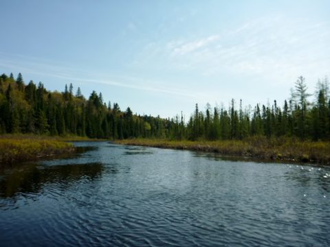 Photo from Canoeing, North Tea Lake, Algonquin