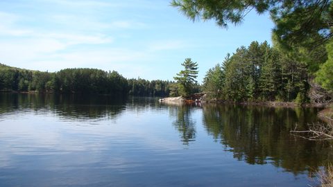Photo from Canoeing, North Tea Lake, Algonquin