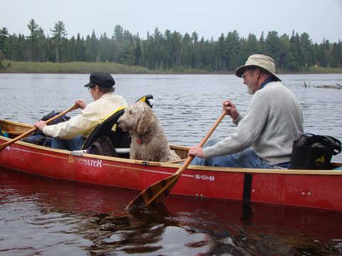 Photo from Canoeing, North Tea Lake, Algonquin