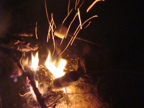 Photo from Canoeing, North Tea Lake, Algonquin